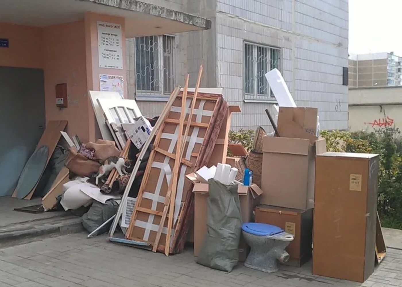 Профессиональный вывоз мусора из квартиры в Белорецке в октябре