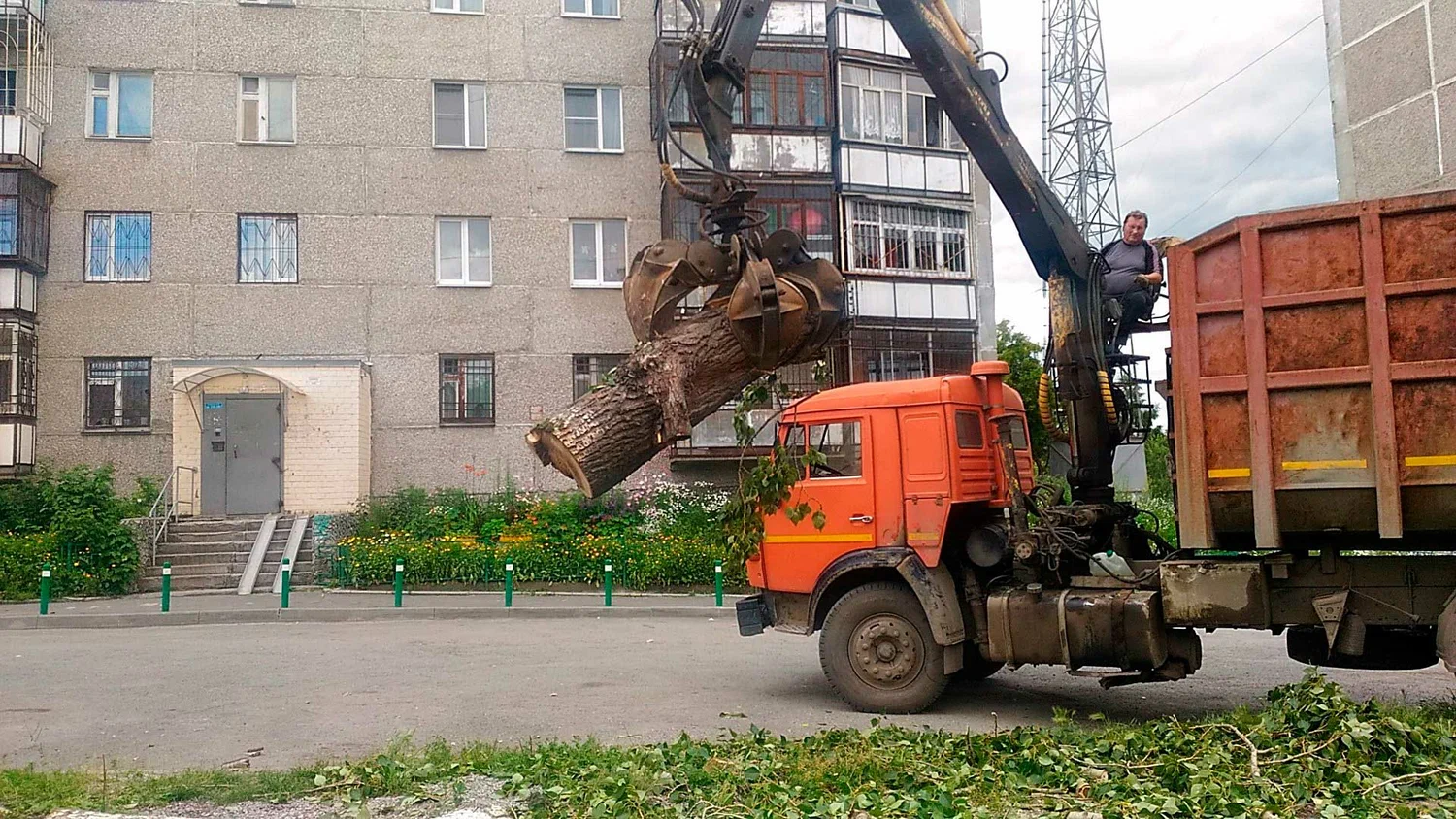 Вывоз спиленных веток и деревьев в Белорецке от ПроМусор: порубочные остатки, утилизация, цена от 2940 руб