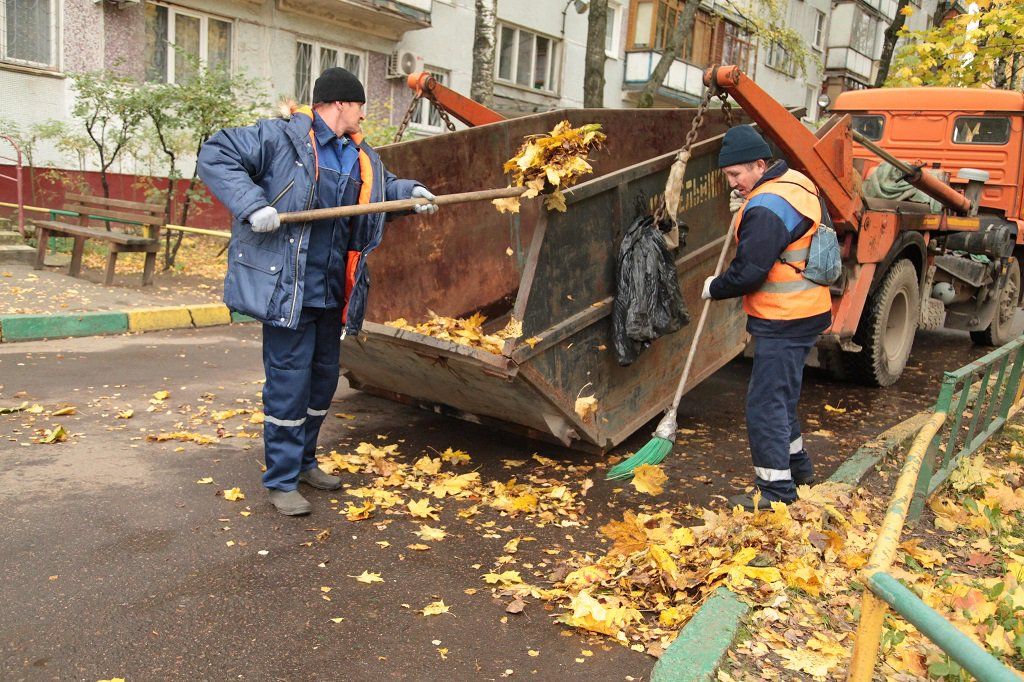 Вывоз опавшей листвы и растительного мусора в Белорецке от ПроМусор – цена от 4562 руб., быстрая уборка и утилизация